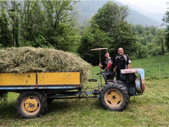 make hay while the sun shines