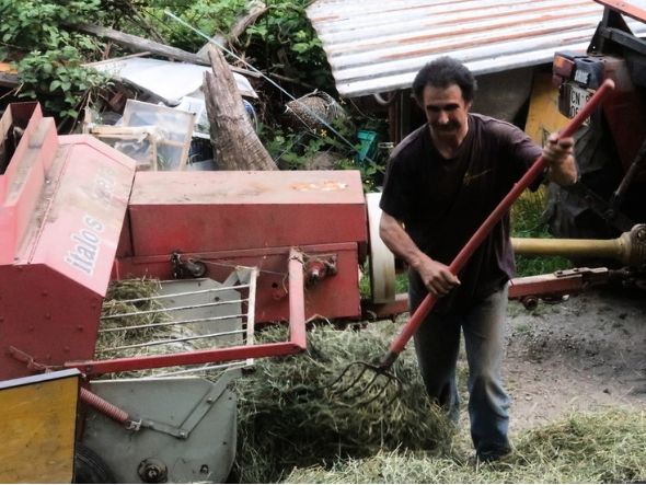 make hay while the sun shines